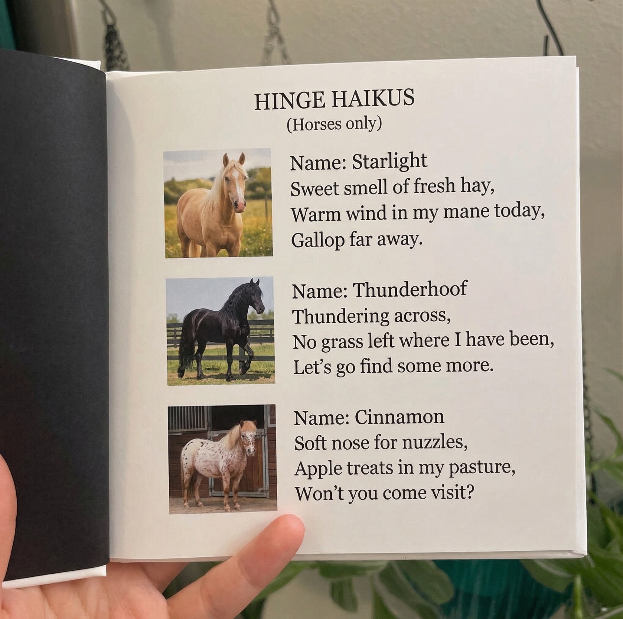 Inside pages of the Horsey Hinge Haikus book