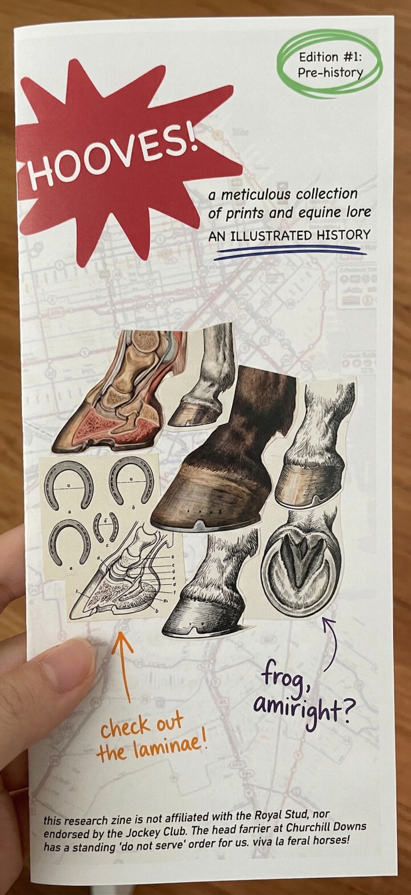 Hooves: An Illustrated History