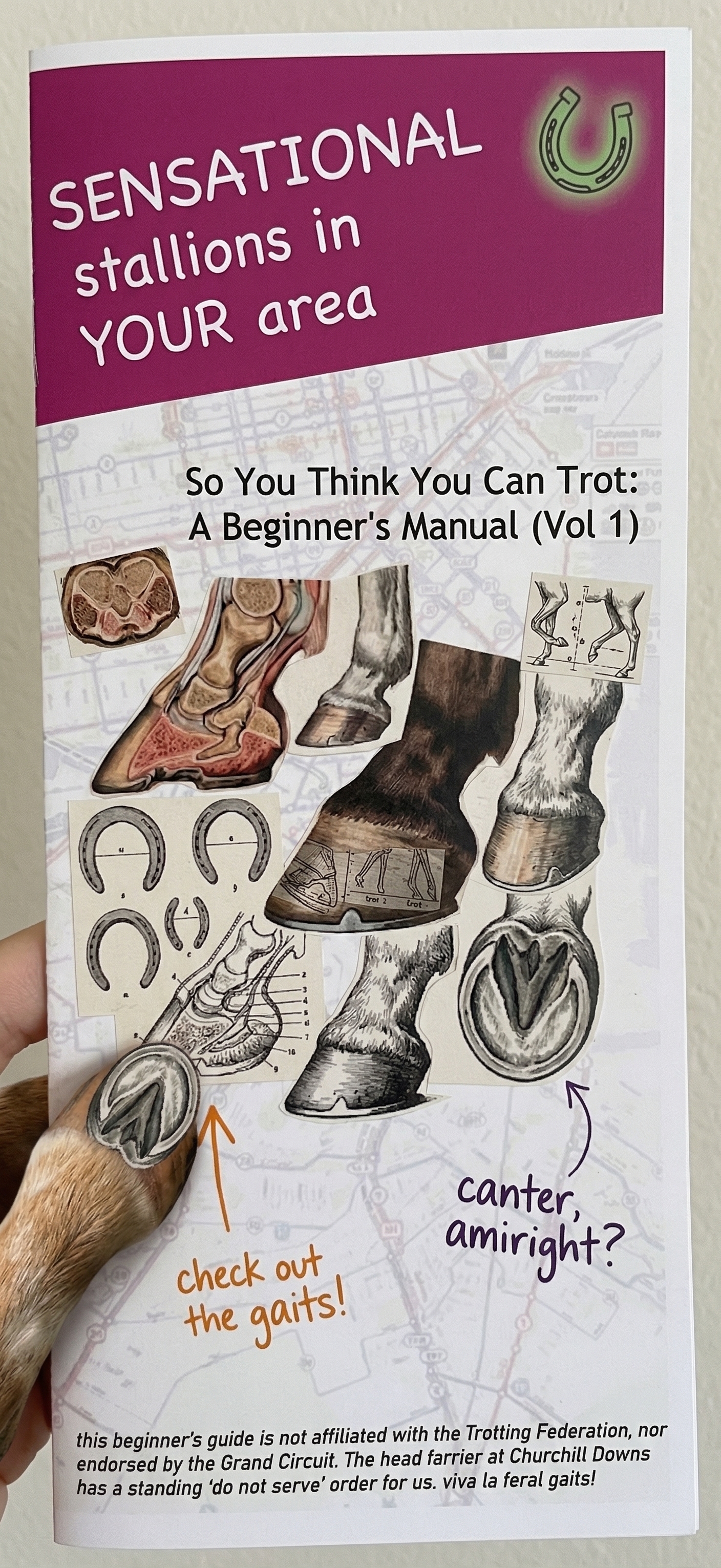 So You Think You Can Trot: A Beginner's Manual